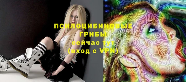 a pvp Михайлов